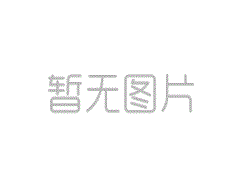 2020年安徽省池州市 安徽瑞泰汽车零部件有限责任