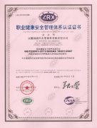 Occupational Health and Safety System Certificate